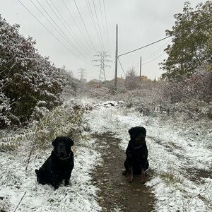 Meet your Posher, Caroline